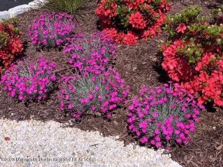 Casa Reposeída - Listado 100819268