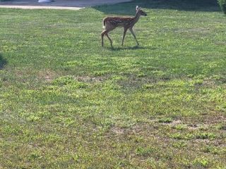 Casa Reposeída - Listado 100828901