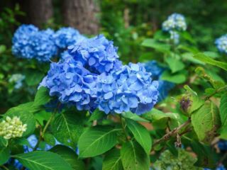 Casa Reposeída - Listado 100815860