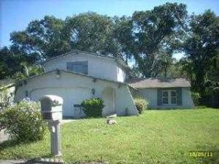 Casa Reposeída - 11303 CARROLLWOOD DR, 33618