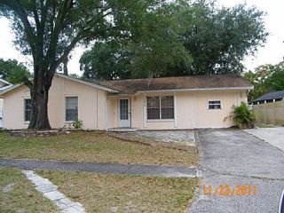 Casa Reposeída - 10917 AIRVIEW DR, 33625