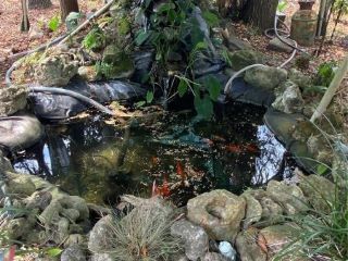 Casa Reposeída - Listado 100613551