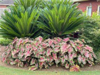 Casa Reposeída - Listado 100684011