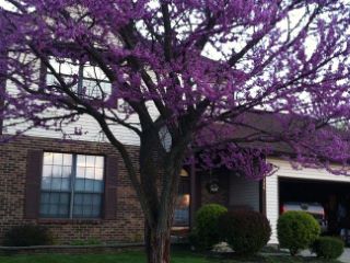 Casa Reposeída - Listado 100698892