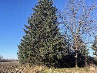 Casa Reposeída - Listado 101119077