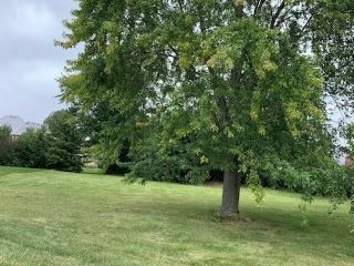 Casa Reposeída - Listado 100969913