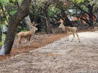 Casa Reposeída - Listado 100657027