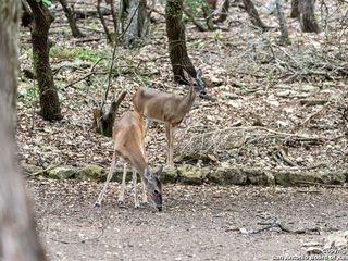 Casa Reposeída - Listado 100815872