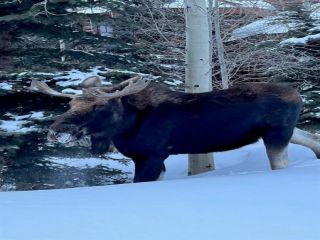 Casa Reposeída - Listado 100682410