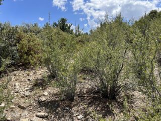 Casa Reposeída - Listado 100948223