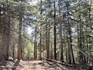 Casa Reposeída - Listado 101312942