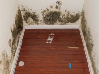 Casa Reposeída - Listado 100714131